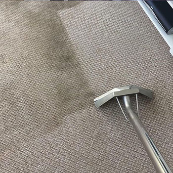 7 Reasons You Need Carpet Cleaning Services